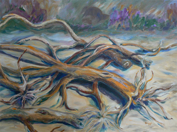Strandgut, Oel auf Leinwand, 50 x 70, 2005