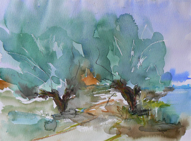 Weiden in Hoben Aquarell auf Aquarellpapier, 24 x3 0, 2006