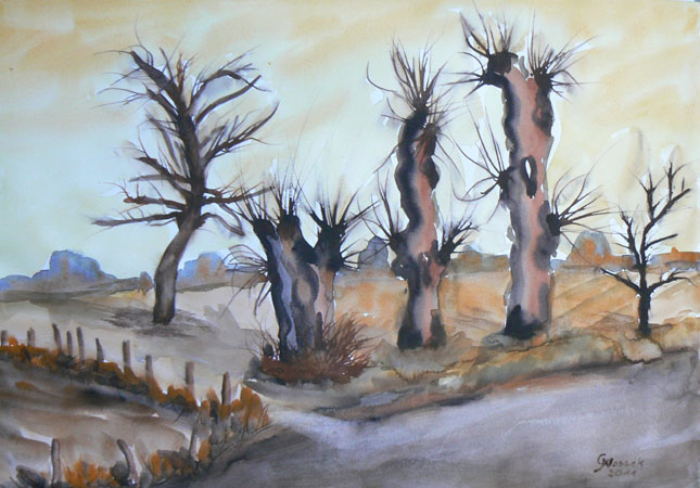 Weiden, 30 x 40, Aquarell, 2011