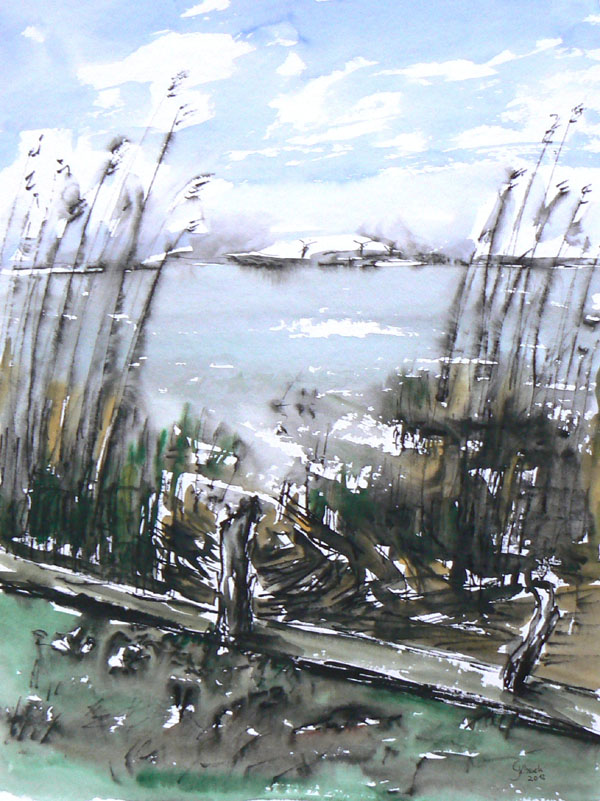 Am Bodden, 36x48, Aquarell-Rohrfeder, 2012